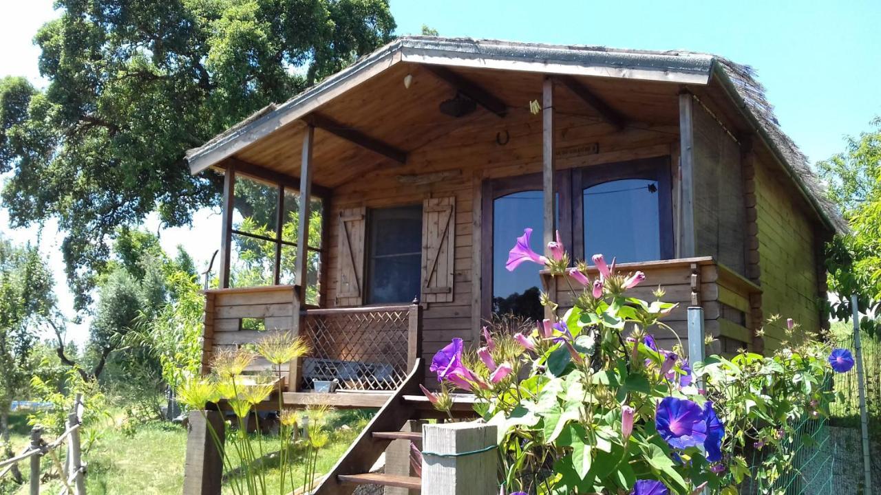 Casa Do Sobreiro 2 Bed & Breakfast Serra das Alhadas Ngoại thất bức ảnh