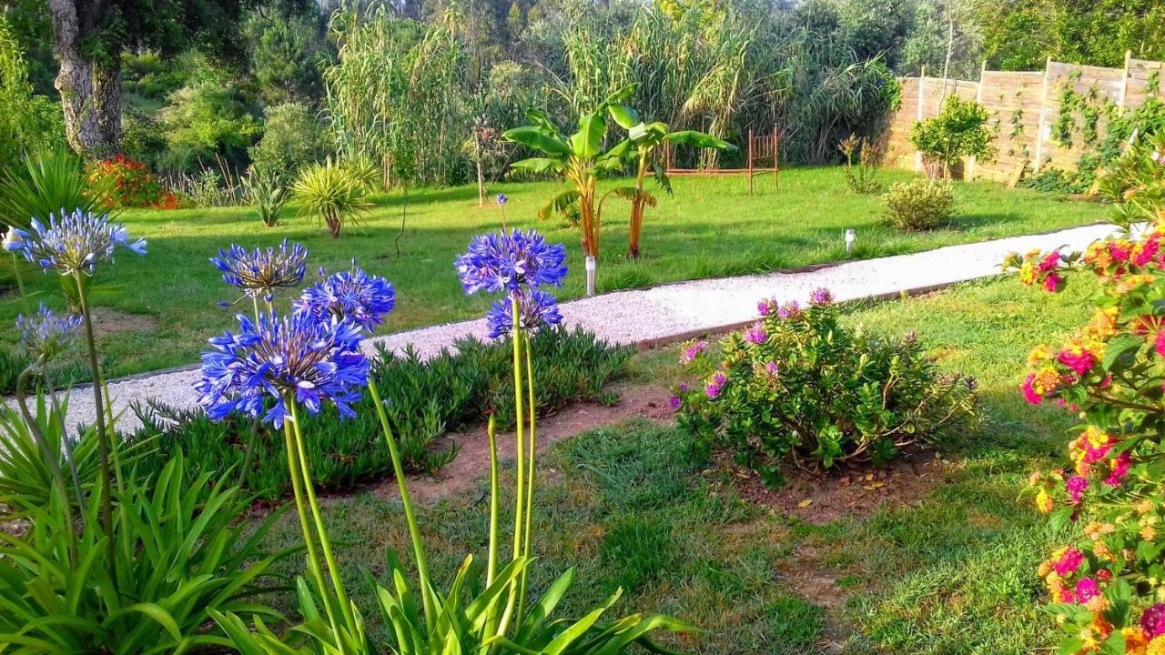 Casa Do Sobreiro 2 Bed & Breakfast Serra das Alhadas Ngoại thất bức ảnh