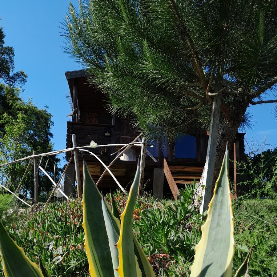 Casa Do Sobreiro 2 Bed & Breakfast Serra das Alhadas Ngoại thất bức ảnh