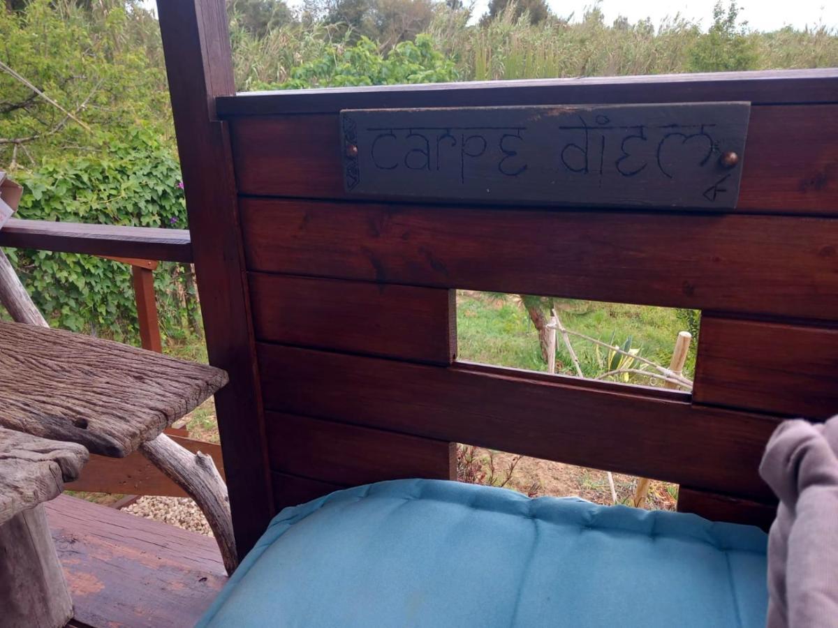 Casa Do Sobreiro 2 Bed & Breakfast Serra das Alhadas Ngoại thất bức ảnh