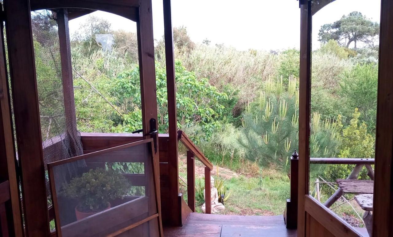 Casa Do Sobreiro 2 Bed & Breakfast Serra das Alhadas Ngoại thất bức ảnh