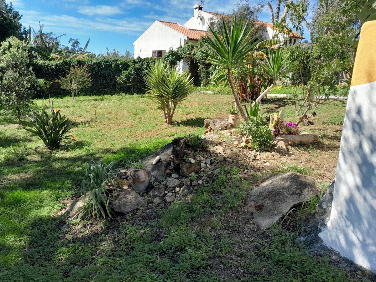 Casa Do Sobreiro 2 Bed & Breakfast Serra das Alhadas Ngoại thất bức ảnh