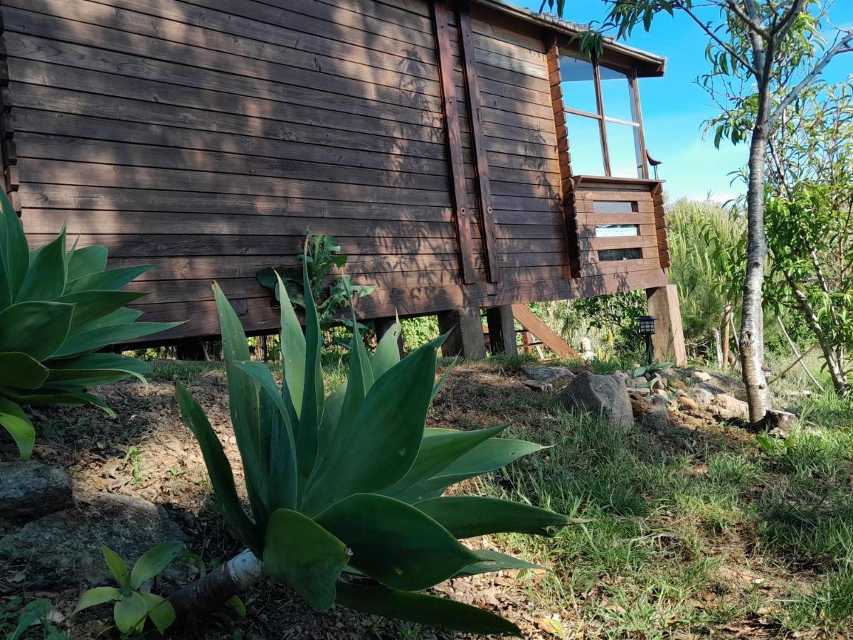 Casa Do Sobreiro 2 Bed & Breakfast Serra das Alhadas Ngoại thất bức ảnh